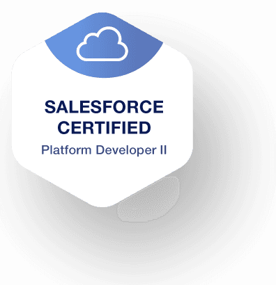 Salesforce Certified 10