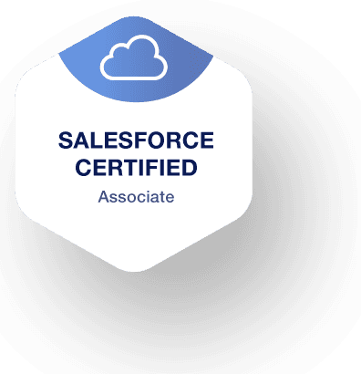 Salesforce Certified 19