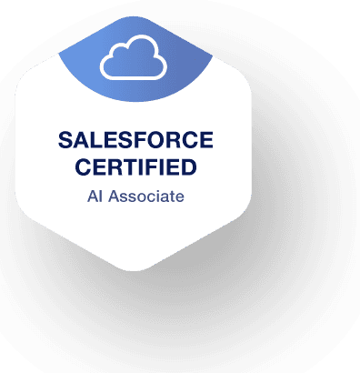 Salesforce Certified 21